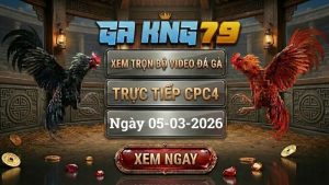 GAKING79 Xem Full Clip Da Ga Truc Tiep CPC4 Ngay 05032026 1