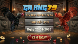 Xem Full Clip Đá Gà Trực Tiếp CPC3 Ngày 25/04/2026