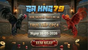 Xem Full Clip Đá Gà Bồ CPC4 Ngày 16/05/2026