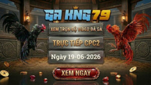 Xem Full Video Đá Gà CPC2 19/6/2026 tại GAKING79